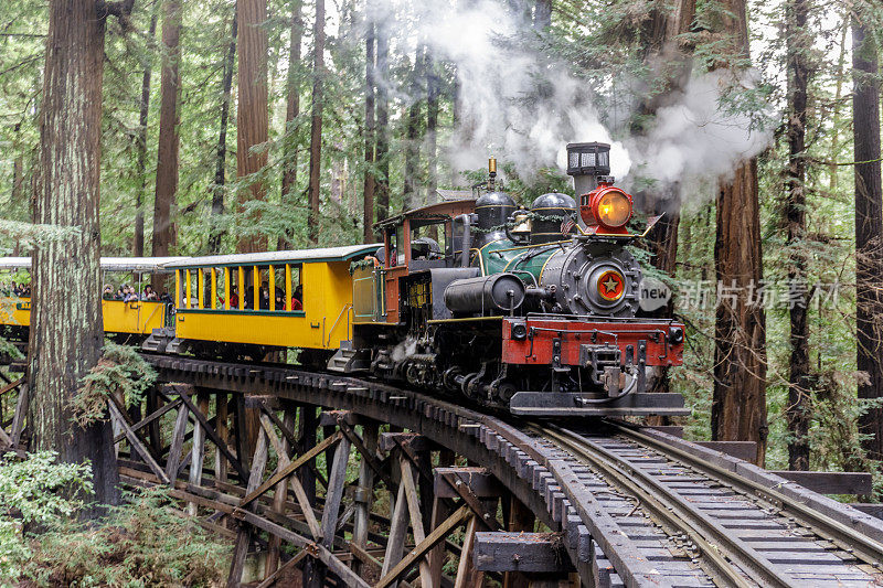 咆哮营地的Dixiana Shay蒸汽火车越过高架桥穿越红木森林，美国加利福尼亚州费尔顿。